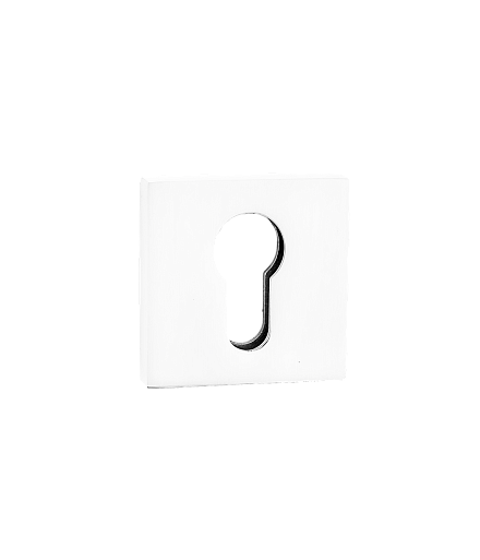 Накладки на ключевой цилиндр Накладка под цилиндр RENZ ET 06 MSN 